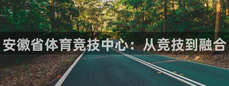 安信16f凯捷注册：安徽省体育竞技中心：从竞技到融合