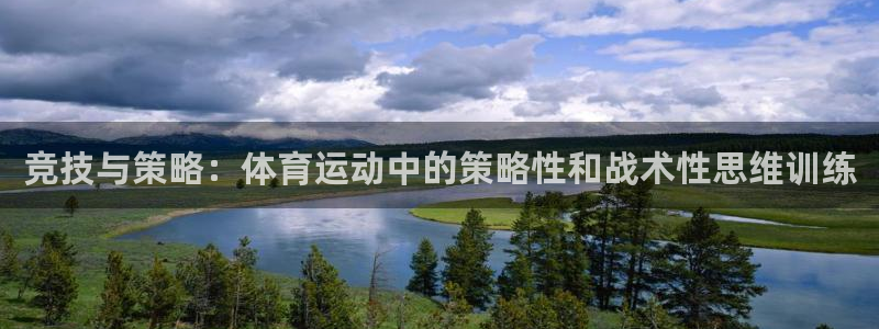 安信16体育：竞技与策略：体育运动中的策略性和战术性思维训练
