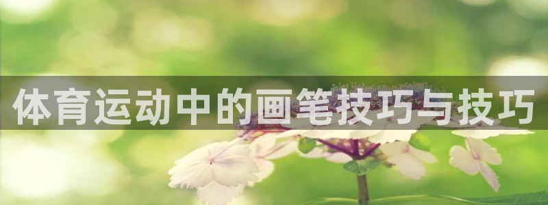 安信163：体育运动中的画笔技巧与技巧