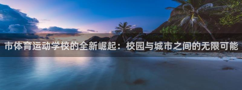 安信163代理：市体育运动学校的全新崛起：校园与城市之间的无限可能