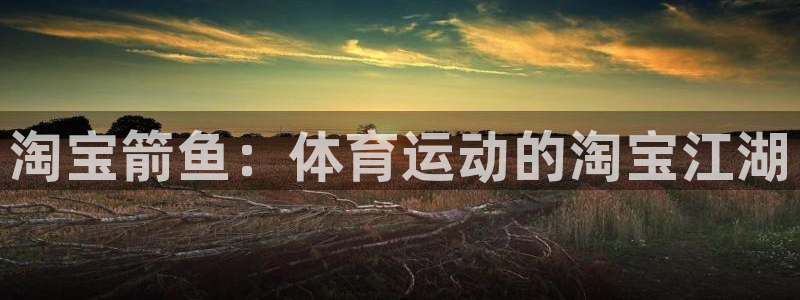 安信16体育免费注册入口：淘宝箭鱼：体育运动的淘宝江湖