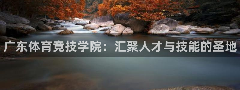 意昂官网：广东体育竞技学院：汇聚人才与技能的圣地