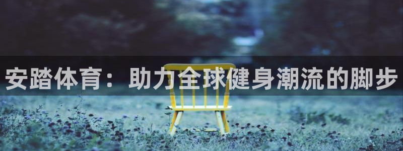 安信16股份：安踏体育：助力全球健身潮流的脚步