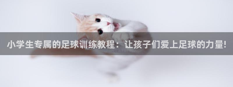 意昂新能源汽车科技有限公司：小学生专属的足球训练教程：让孩子们爱上足球的力量!